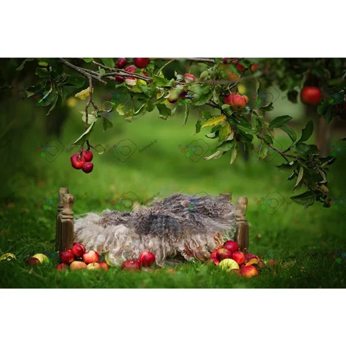 بک دراپ نوزاد تخت خواب چوبی در باغ سیب-کد 5679